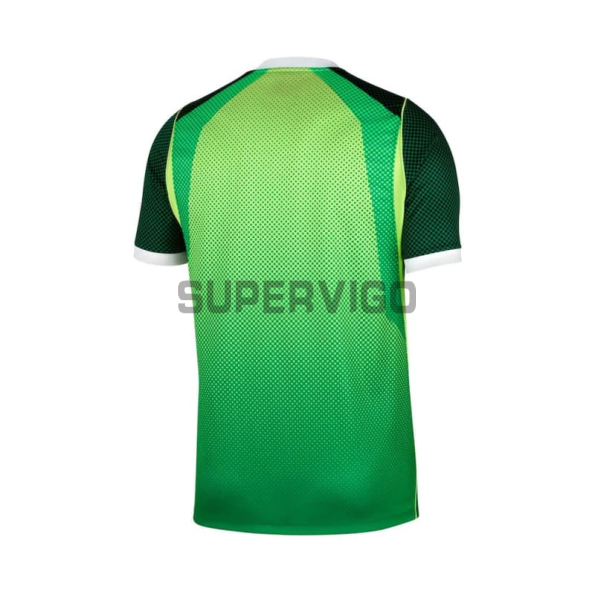 Camiseta Nigeria Primera Equipación Mundial 2026 Verde