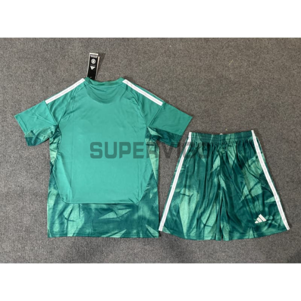 Camiseta de Portero Alemania Primera Equipación Mundial 2026 Verde