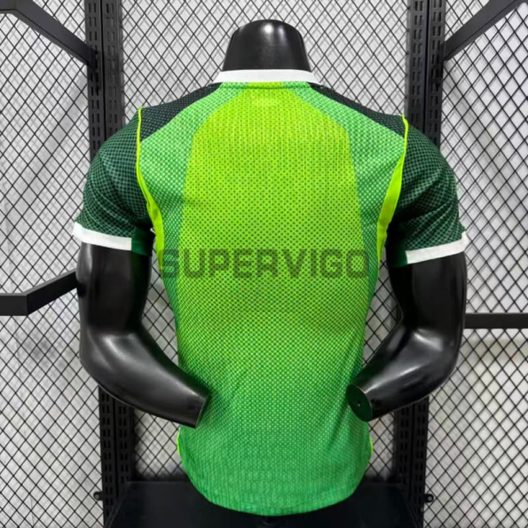 Camiseta Nigeria Primera Equipación Mundial 2026 Verde (EDICIÓN JUGADOR)