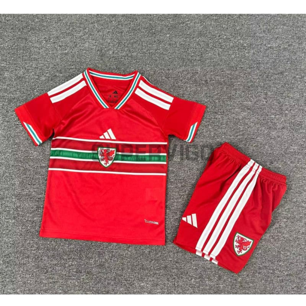 Camiseta Gales Primera Equipación Mundial 2026 Rojo Niño Kit