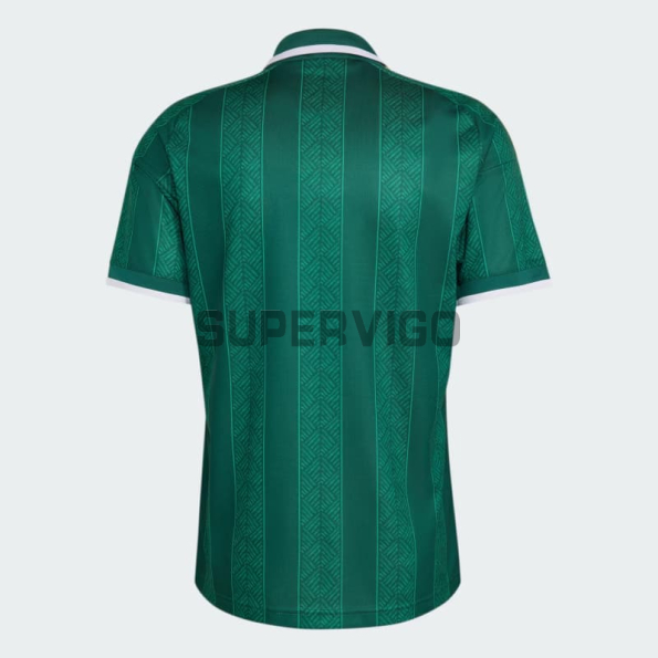 Camiseta Sudáfrica Segunda Equipación Mundial 2026 Verde