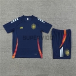 Camiseta de Entrenamiento España 2024 Kit Azul Marino