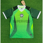 Camiseta Nigeria Primera Equipación Mundial 2026 Verde