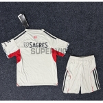 Camiseta Benfica Segunda Equipación 2025/2026 Gris