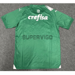 Camiseta Palmeiras 2024/2025 Especial Edición Verde