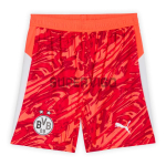 Camiseta de Portero Borussia Dortmund 2025/2026 Naranja