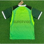 Camiseta Nigeria Primera Equipación Mundial 2026 Verde