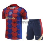 Camiseta Barcelona 2024/2025 Pre-Match Rojo/Azul