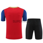 Camiseta de Entrenamiento Barcelona 2023/2024 Niño Kit Rojo/Azul/Dorado