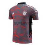 Camiseta de Entrenamiento Bayern Múnich Gris/Rojo 2023/2024