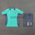 Camiseta de Entrenamiento Ajax de Ámsterdam 2024/2025 Kit Verde/Gris