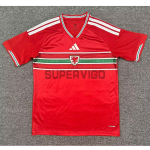 Camiseta Gales Primera Equipación Mundial 2026 Rojo
