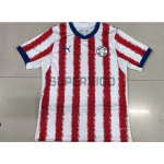 Camiseta Paraguay Primera Equipación Mundial 2026 Rojo/Blanco