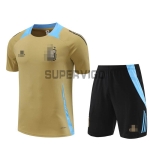 Camiseta de Entrenamiento Argentina 2024 Kit Dorado/Azul