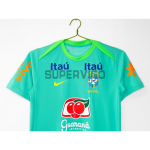 Camiseta de Entrenamiento Brasil 2024 Verde/Amarillo