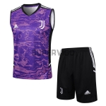 Camiseta de Entrenamiento Juventus Sin Mangas Morado 2023/2024 Kit