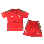 Camiseta Gales Primera Equipación 2024 Niño Kit