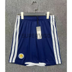 Camiseta Escocia Primera Equipación Mundial 2026 Azul