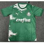 Camiseta Palmeiras 2024/2025 Especial Edición Verde