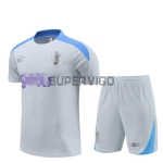 Camiseta de Entrenamiento Tottenham Hotspur 2024/2025 Kit Gris Claro