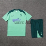 Camiseta de Entrenamiento Tottenham Hotspur 2024/2025 Kit Verde