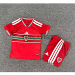 Camiseta Gales Primera Equipación Mundial 2026 Rojo Niño Kit