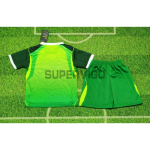 Camiseta Nigeria Primera Equipación Mundial 2026 Verde Niño Kit