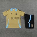 Camiseta de Entrenamiento Argentina 2024 Kit Dorado/Azul