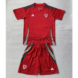 Camiseta Gales Primera Equipación 2024 Niño Kit