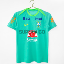 Camiseta de Entrenamiento Brasil 2024 Verde/Amarillo
